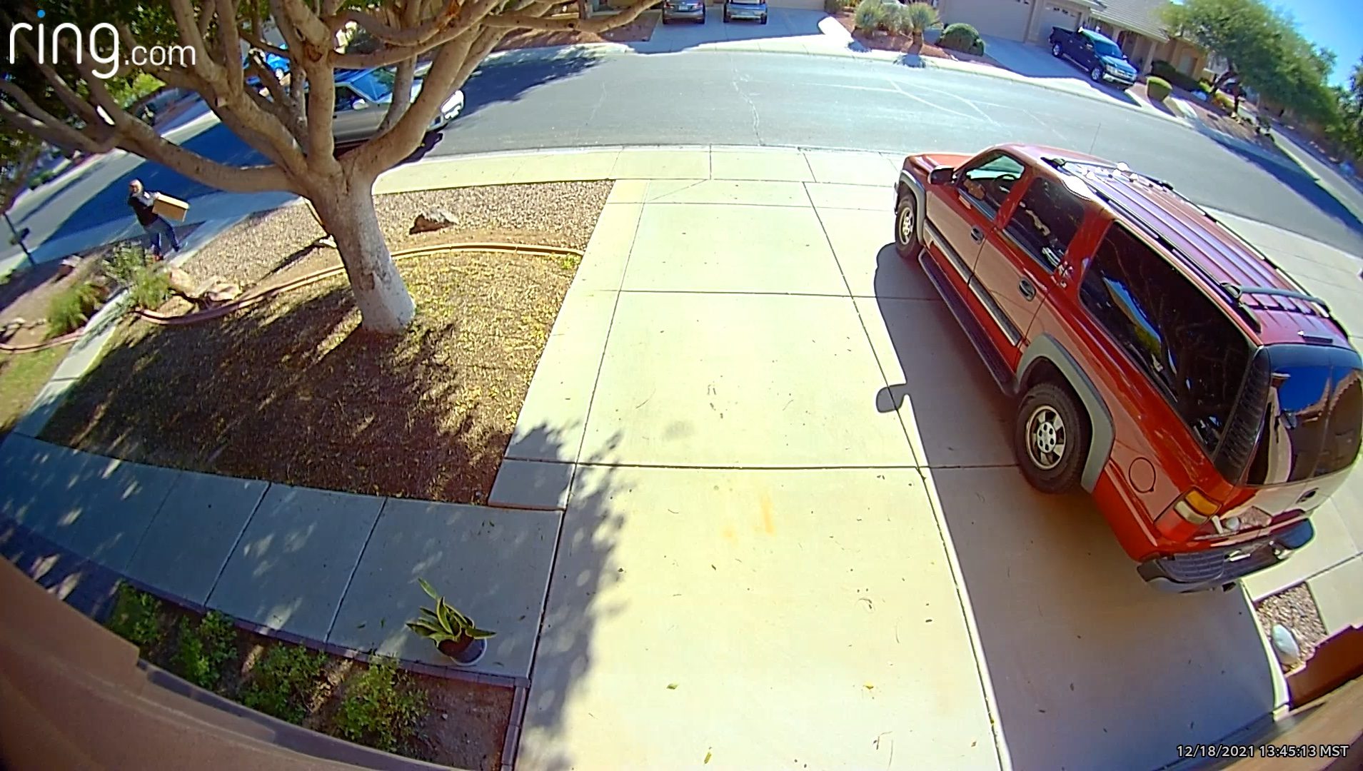 Porch Pirate Craterface Three Fingers Strikes Again