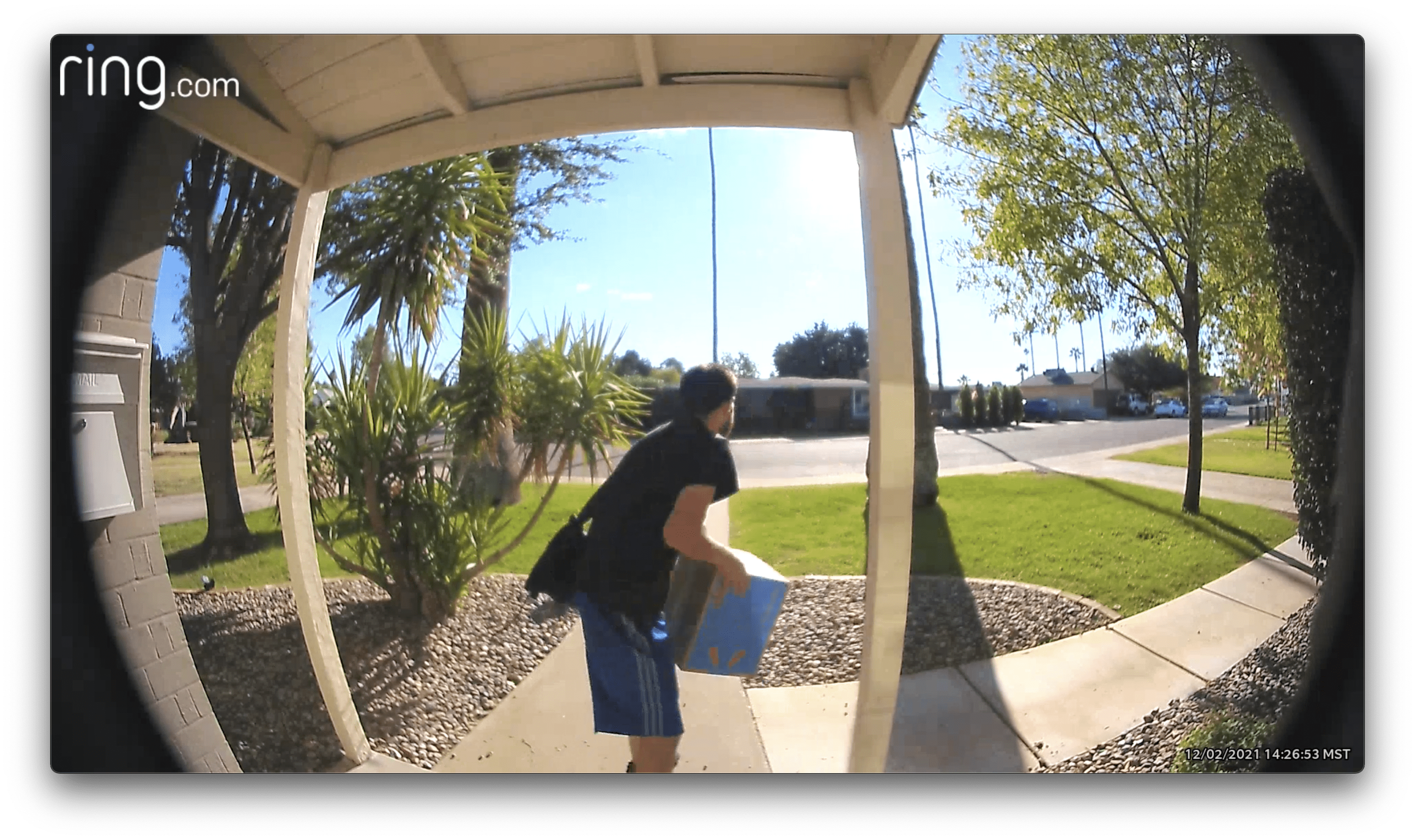 Porch Pirate ScurvyLegs McGee