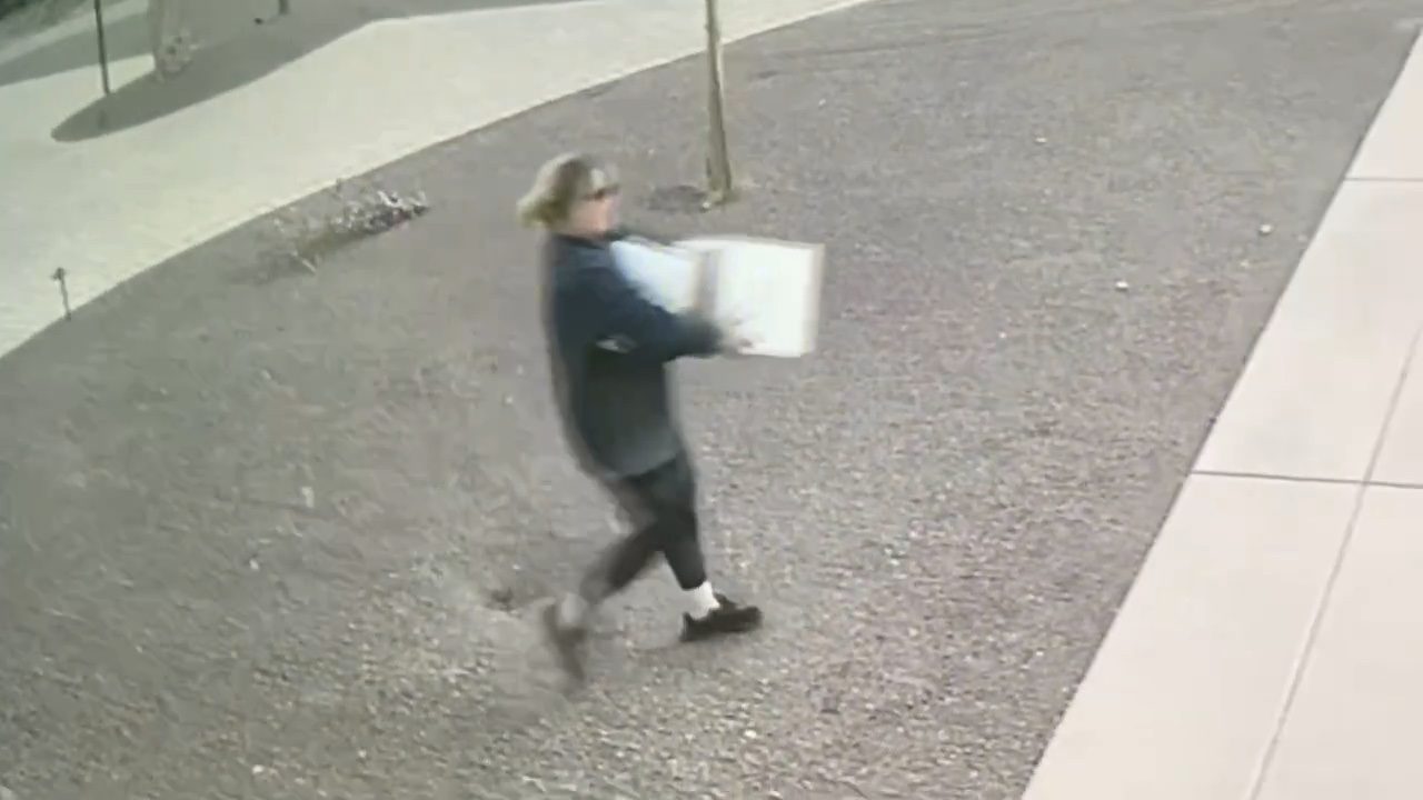 Porch Pirate Alena the Dagger Steals Multiple Packages from Scottsdale Home