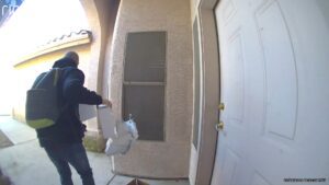 Porch Pirate Captain Rattlebones Strikes Again in North Phoenix