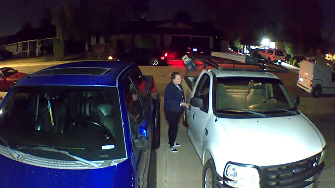 silvertooth sally going through truck