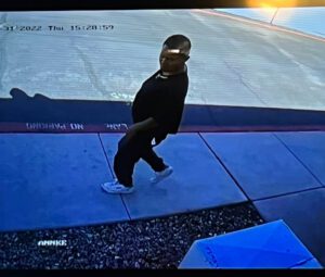 Porch Pirate Rummy Richards Steals Nursing Bras